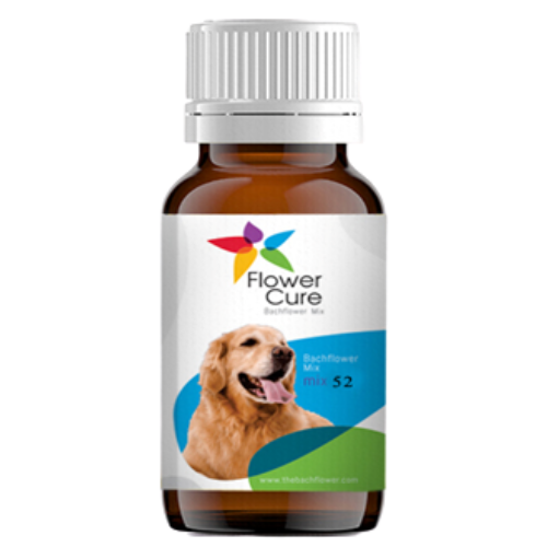 Bach flowers Mix 52 : Epilepsy in Dogs