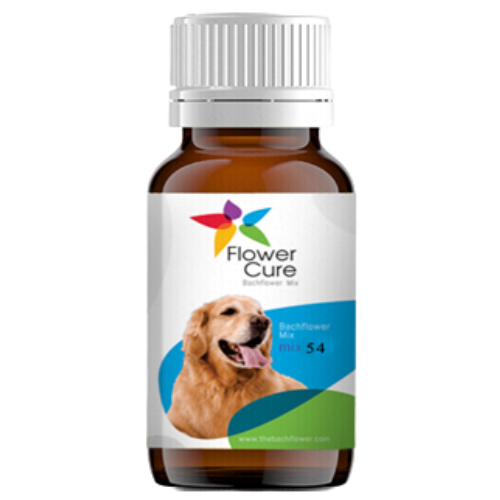 Bach flowers Mix 54 : Stress in dogs
